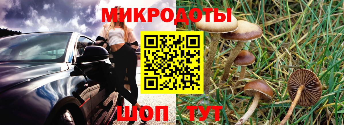 сколько стоит  Галлюциногенные грибы Cubensis  Вход с VPN  Ишимбай 